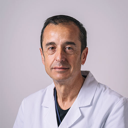 Dr. Francisco Mansilla